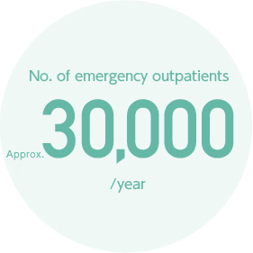 救急外来受診者数年間約30,000人