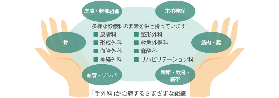 「手外科」が治療するさまざまな組織