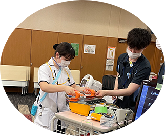 新人年間スケジュール